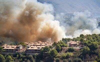 Who is responsible for what in a disaster?
